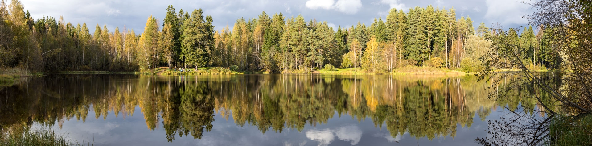 Панорама лесного озера